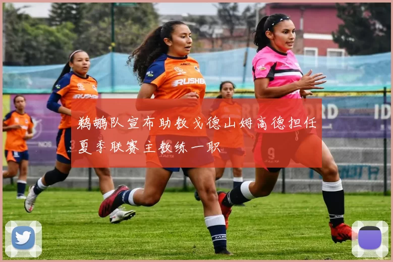鹈鹕队宣布助教戈德山姆高德担任夏季联赛主教练一职